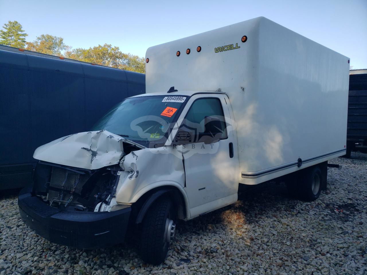 Chevrolet Express 6.0L  8 2019