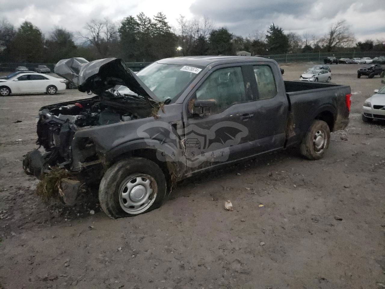 Ford F-150 SUPER CAB 3.3L  6 2023