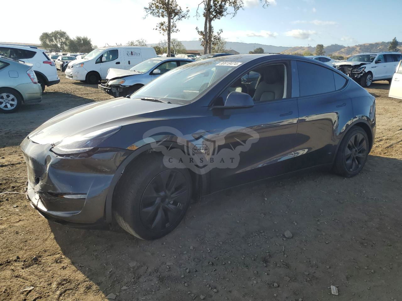 Tesla Model Y 2024