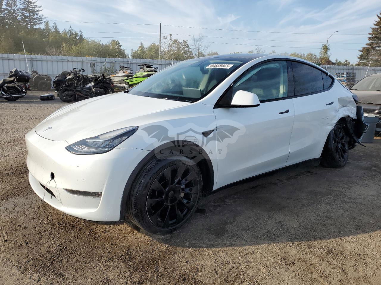 Tesla Model Y 2021
