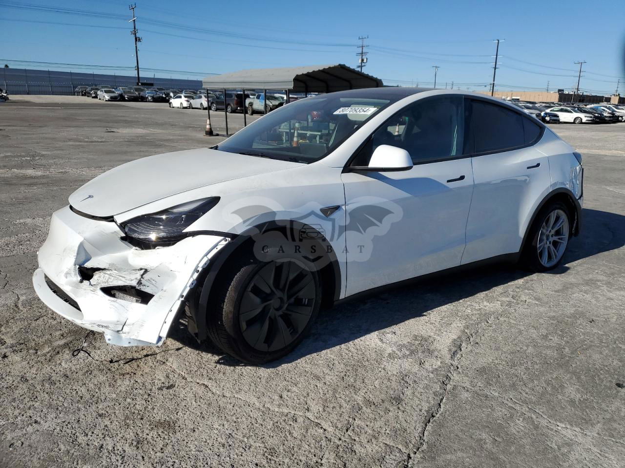 Tesla Model Y 2024