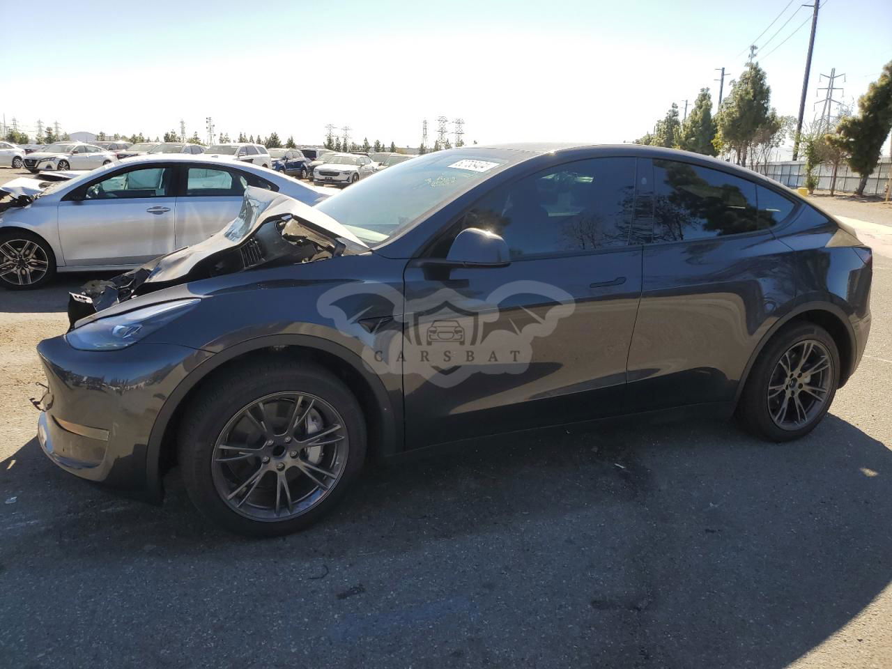 Tesla Model Y 2024