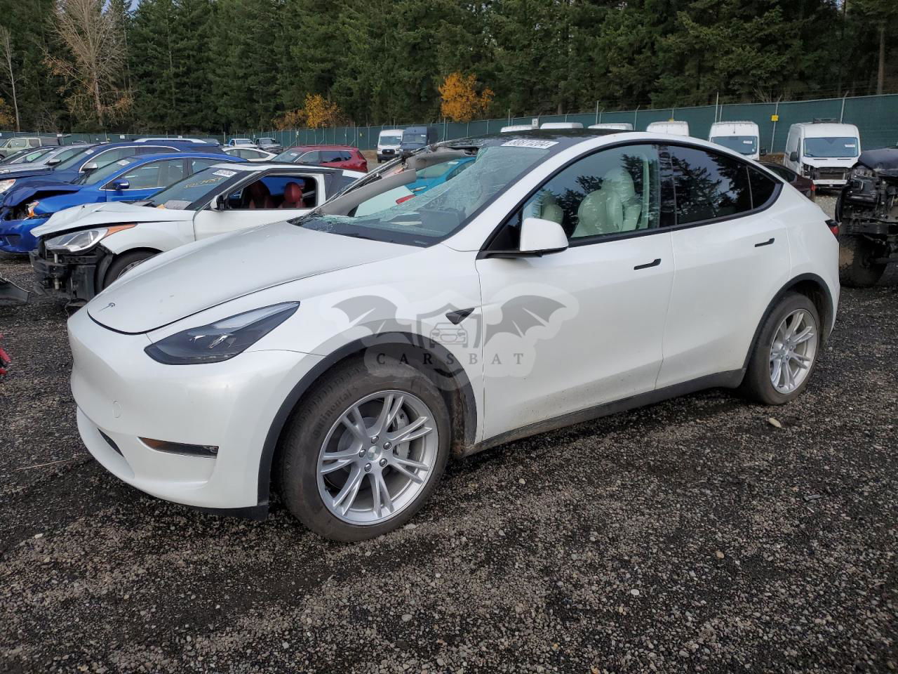 Tesla Model Y 2024
