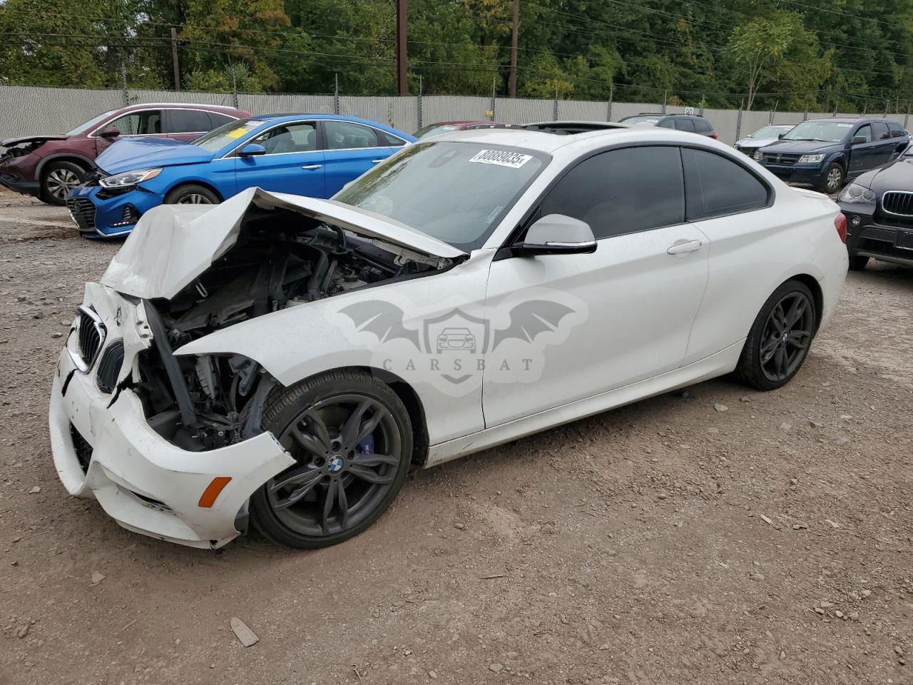BMW M2 3.0L  6 2017