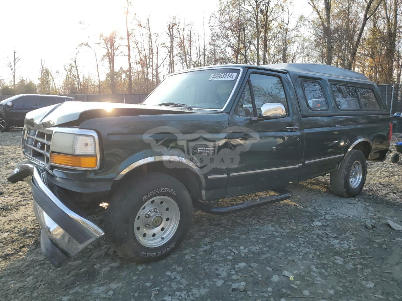 Ford F-150 5.0L  8 1995