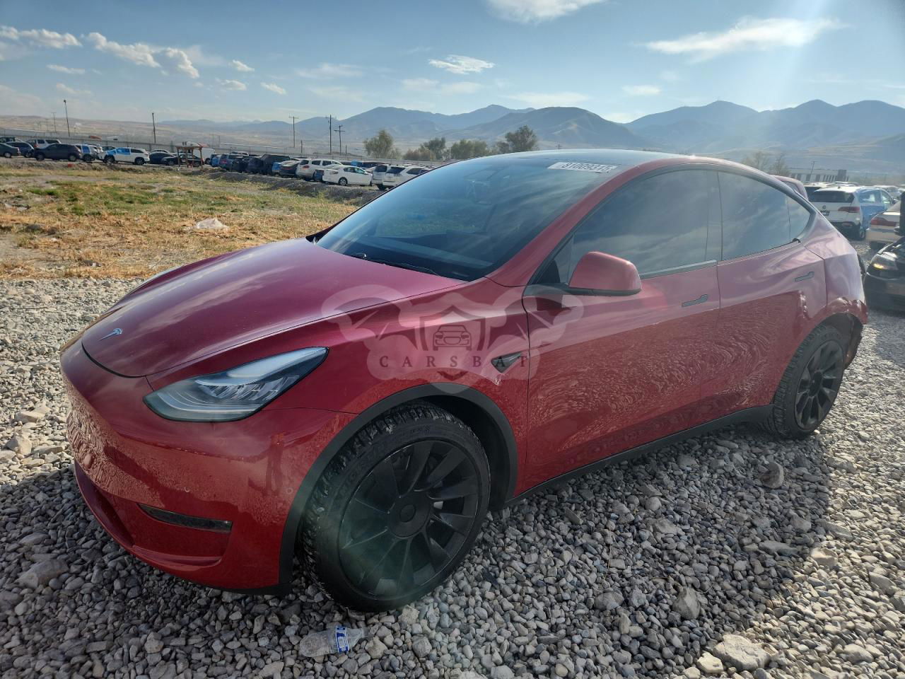 Tesla Model Y 2020