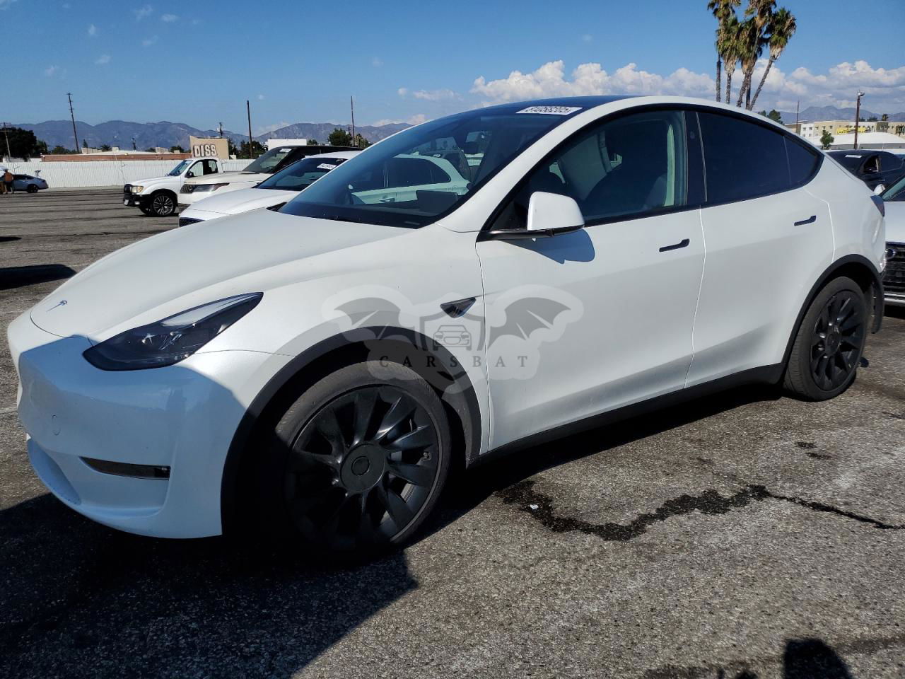 Tesla Model Y 2024
