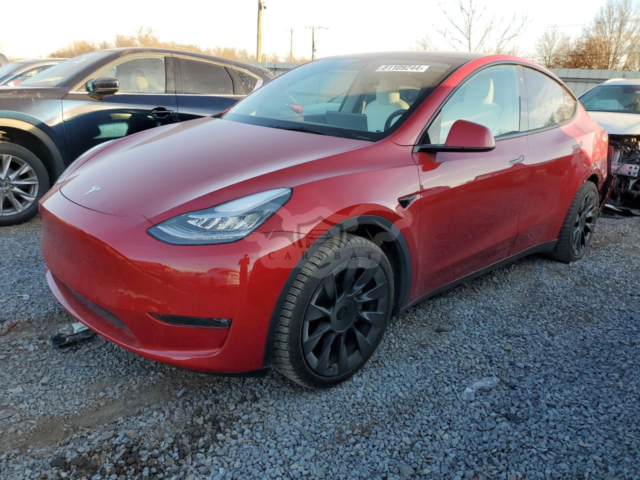 Tesla Model Y 2021