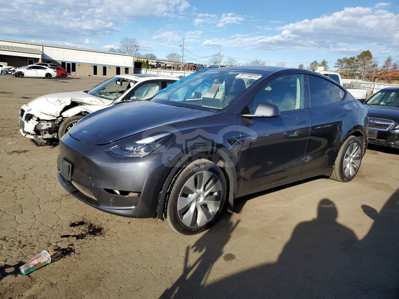 Tesla Model Y 2024