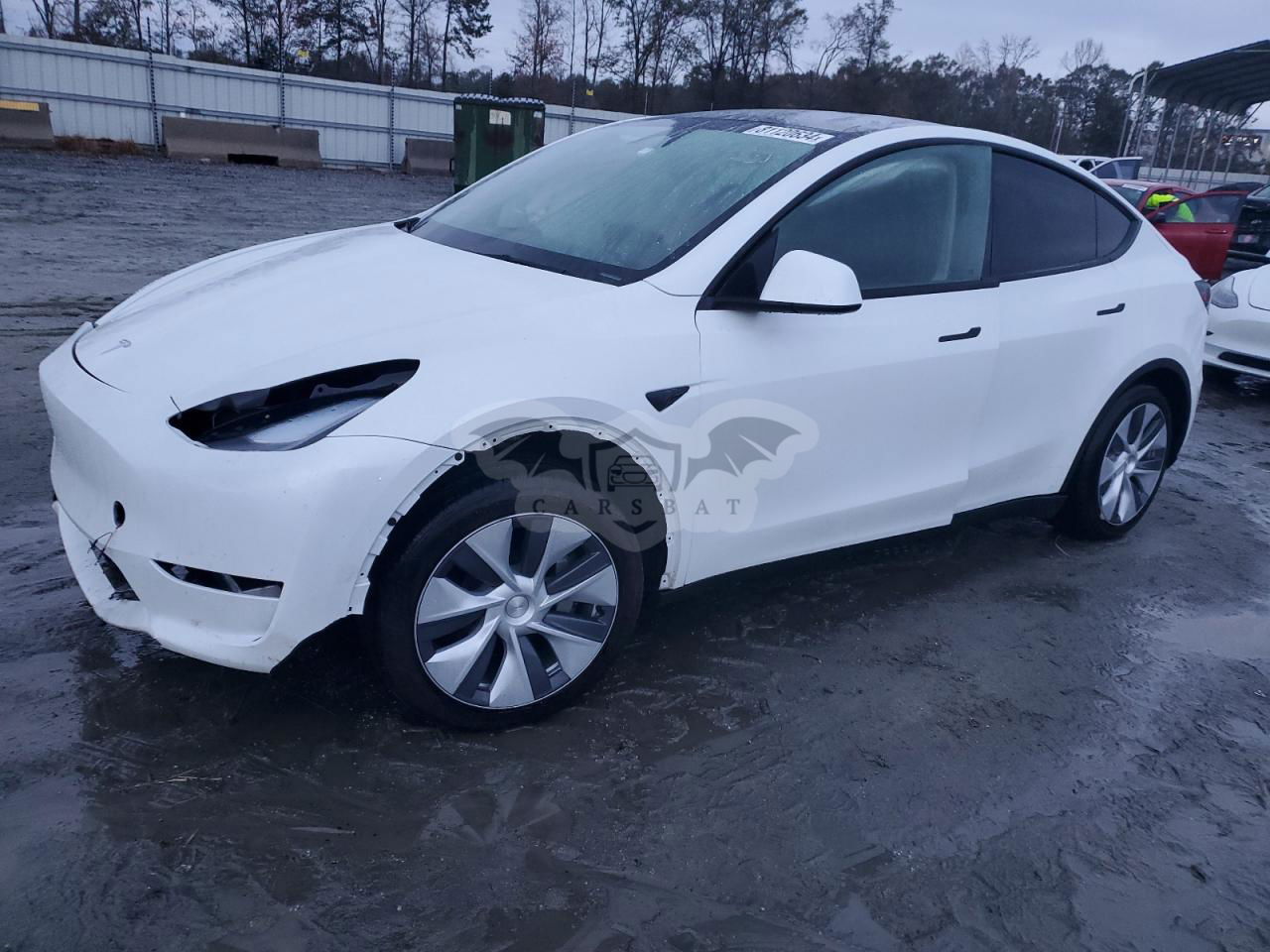 Tesla Model Y 2024