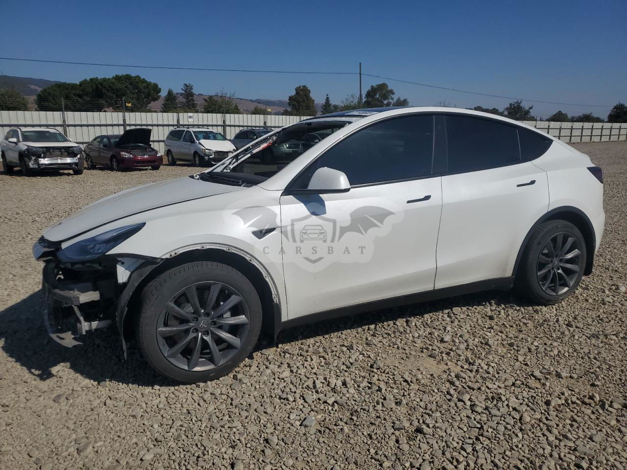 Tesla Model Y 2021