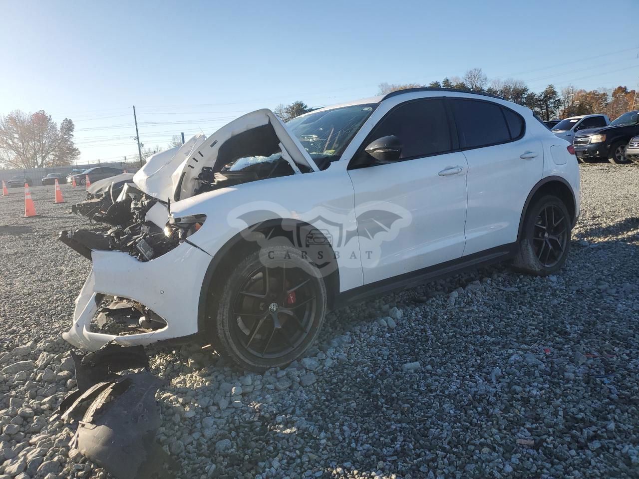 Alfa Romeo Stelvio 2.0L  4 2019