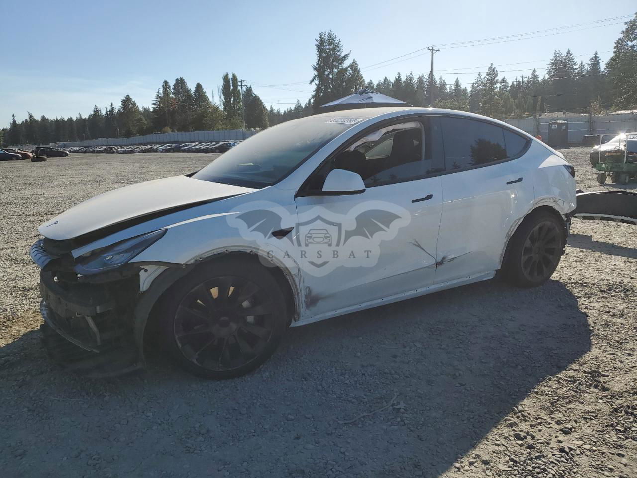 Tesla Model Y 2021