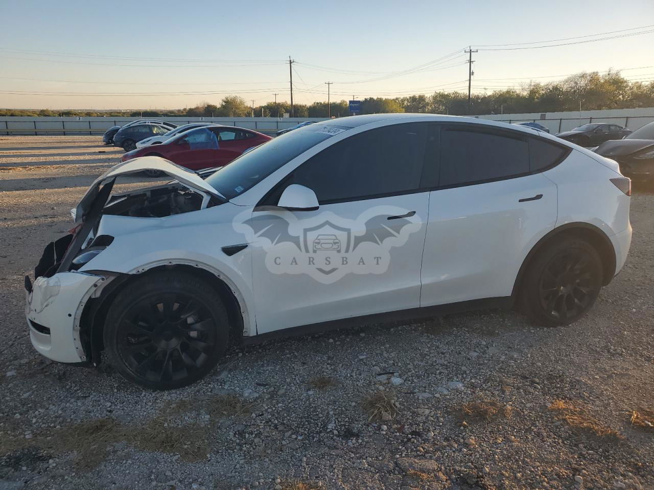Tesla Model Y 2020