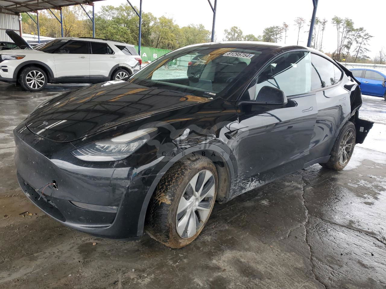 Tesla Model Y 2020