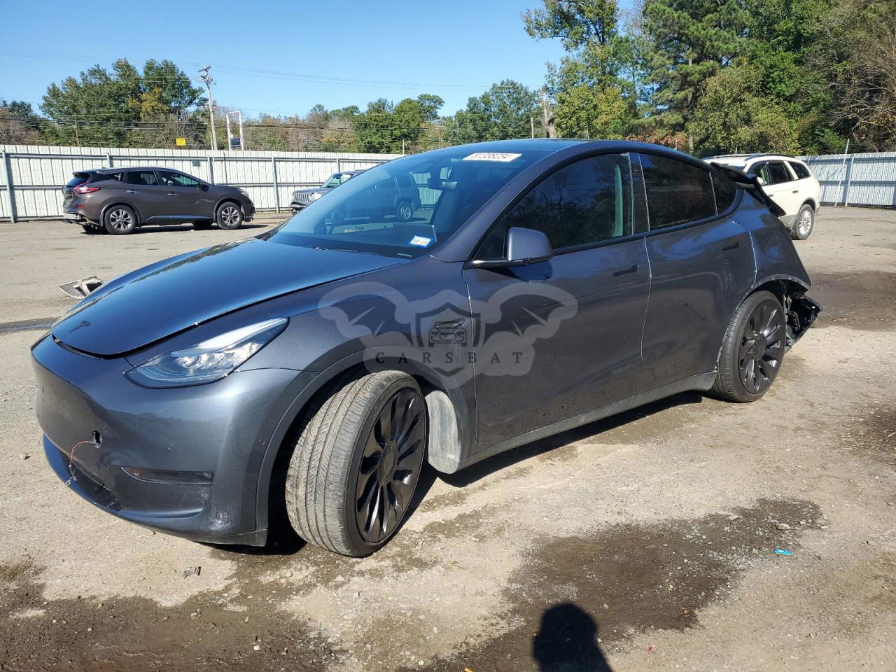 Tesla Model Y 2020