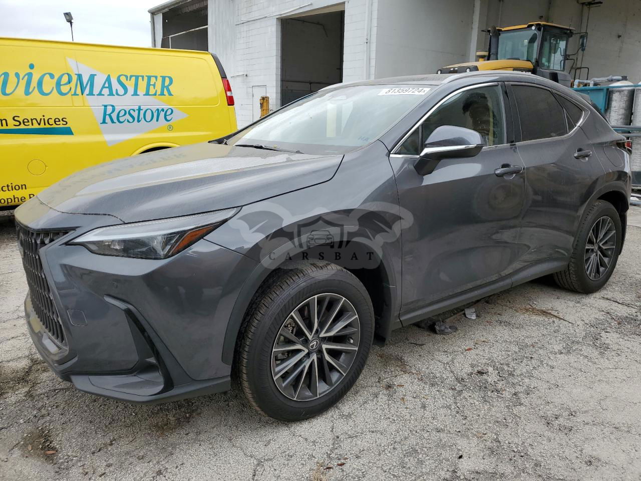 Lexus NX 2.5L  4 2024
