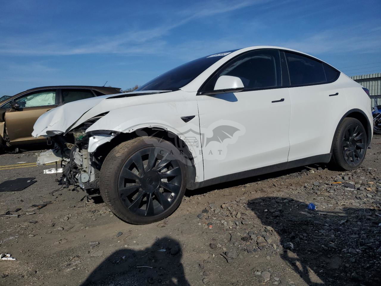 Tesla Model Y 2024