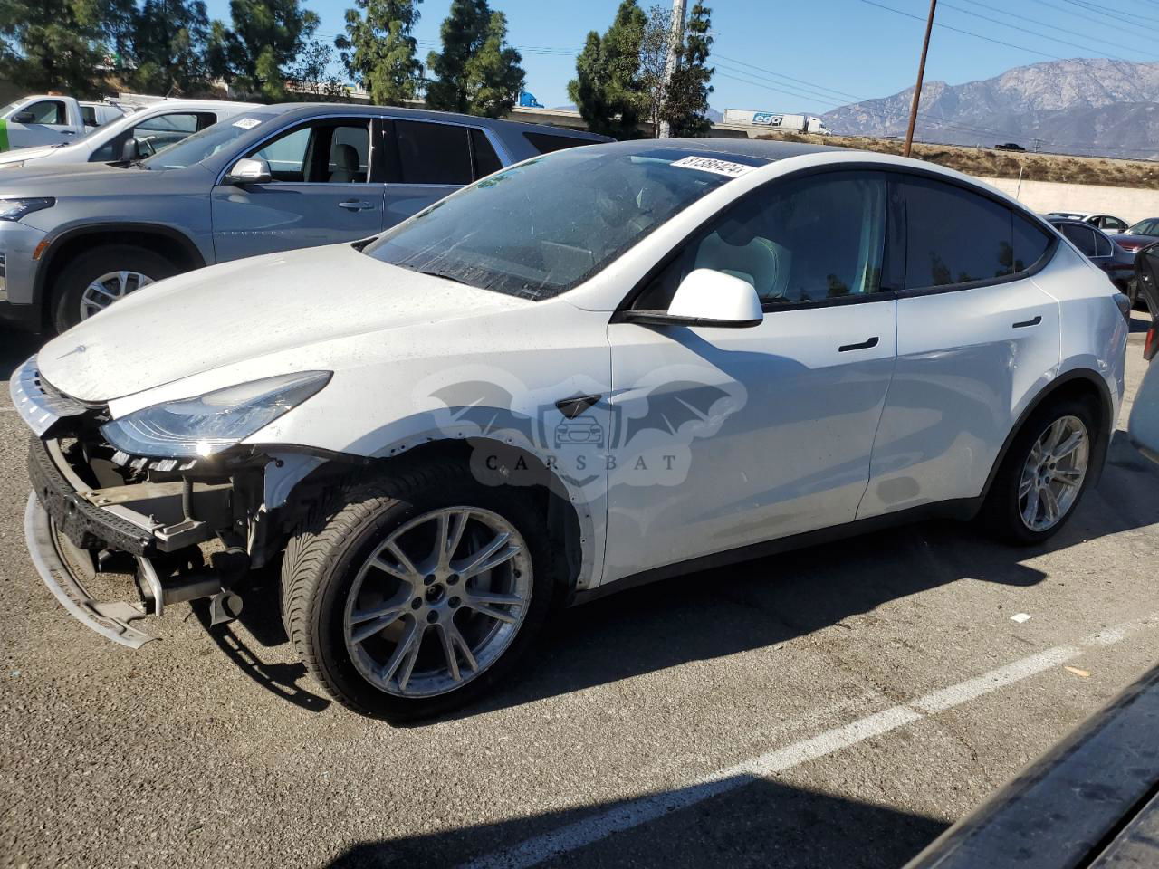Tesla Model Y 2021