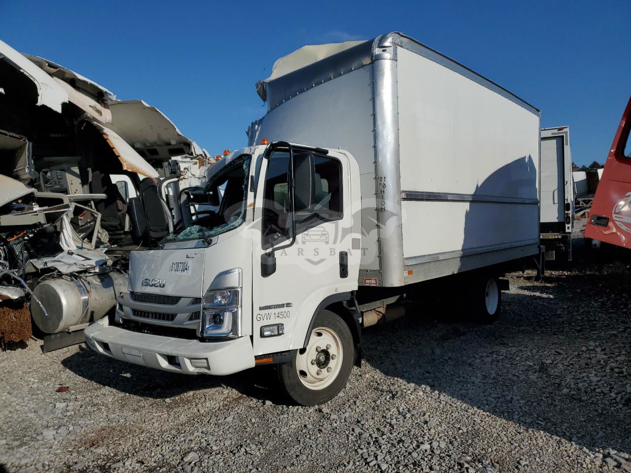 Isuzu NPR 6.6L  8 2024