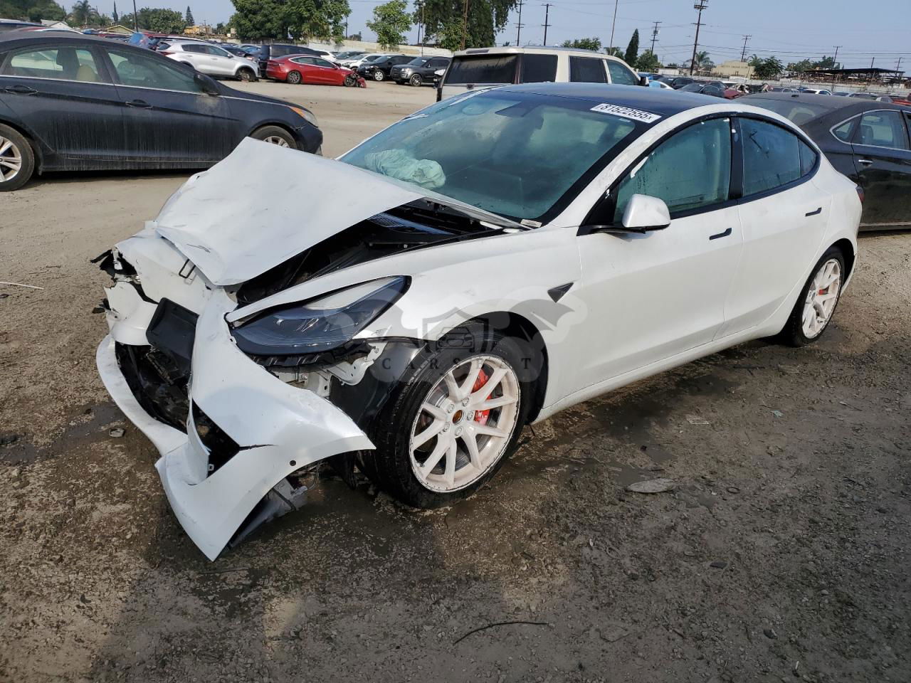Tesla Model 3 2021