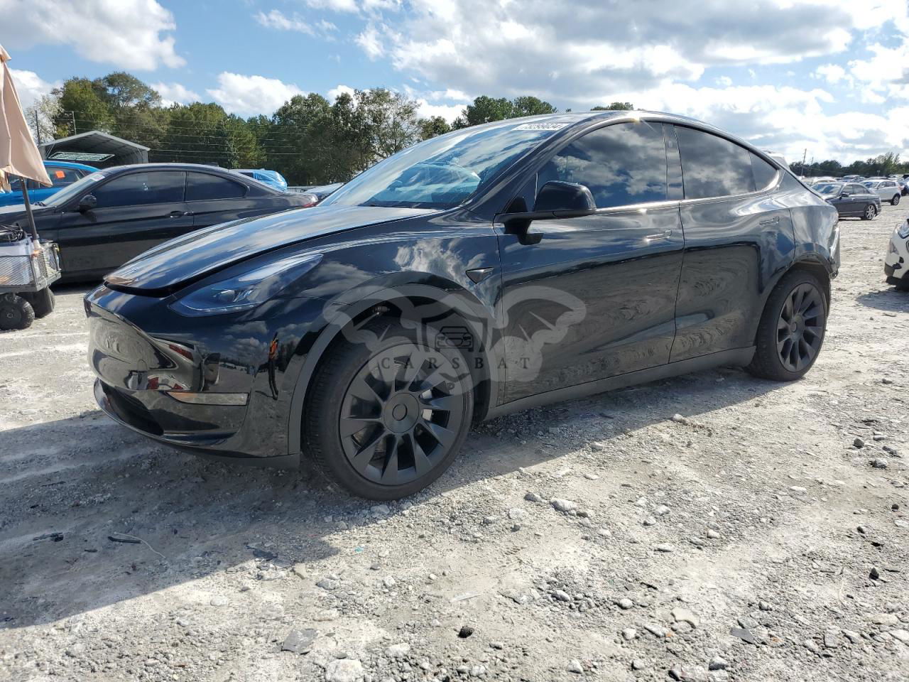 Tesla Model Y 2024