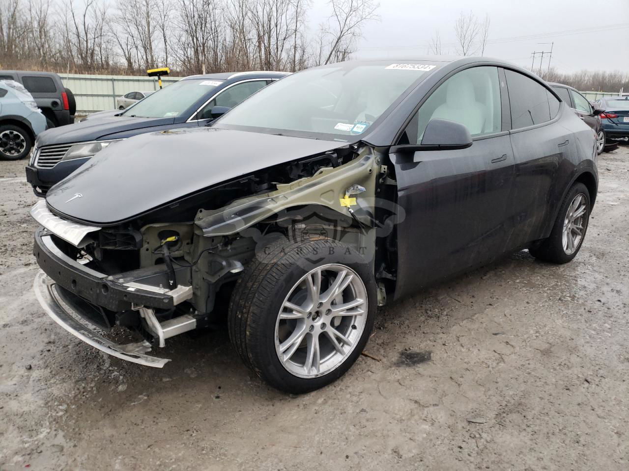 Tesla Model Y 2024
