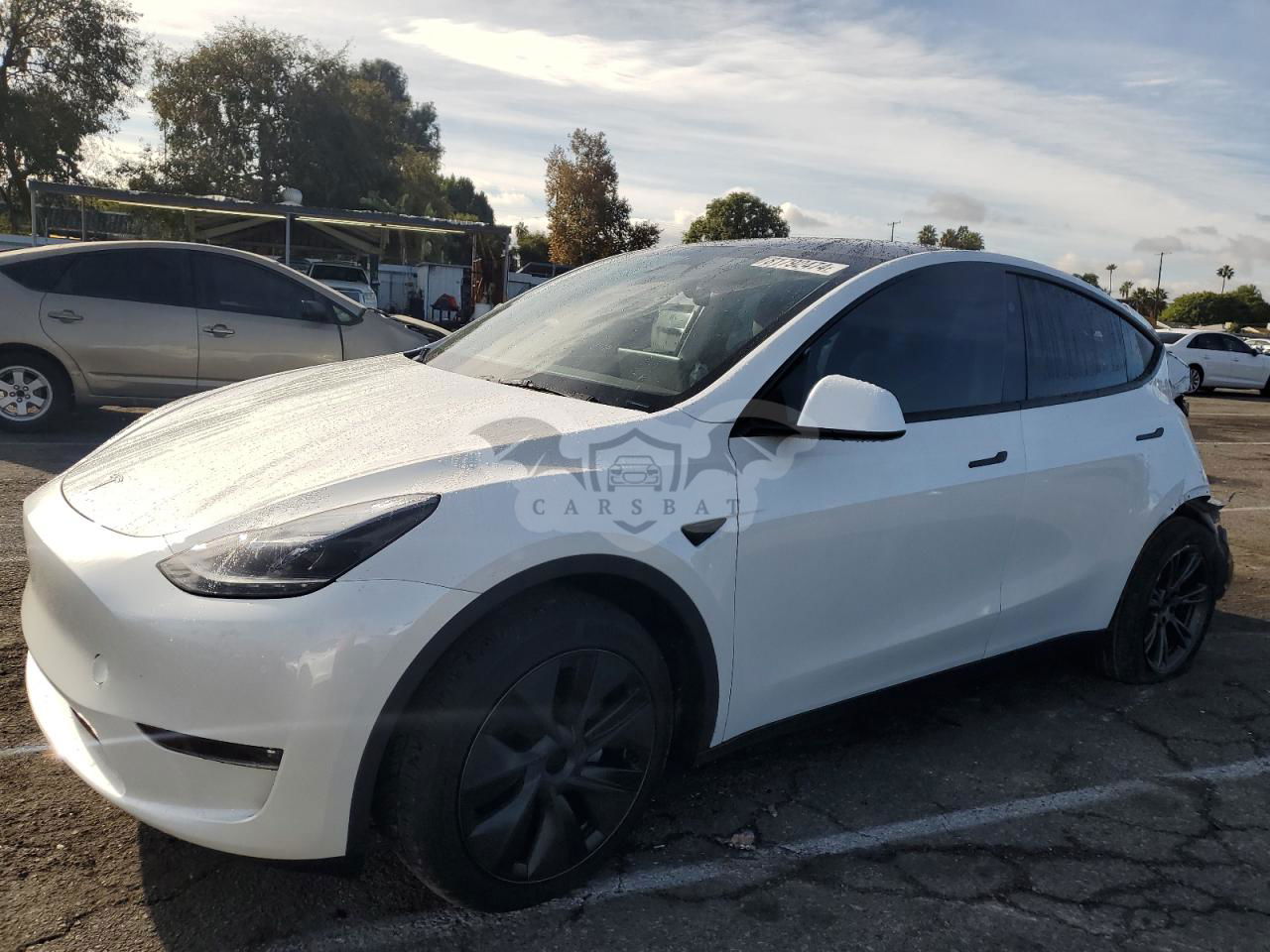 Tesla Model Y 2024