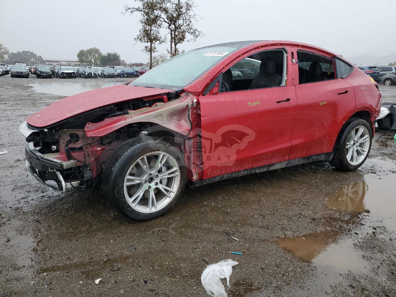 Tesla Model Y 2020