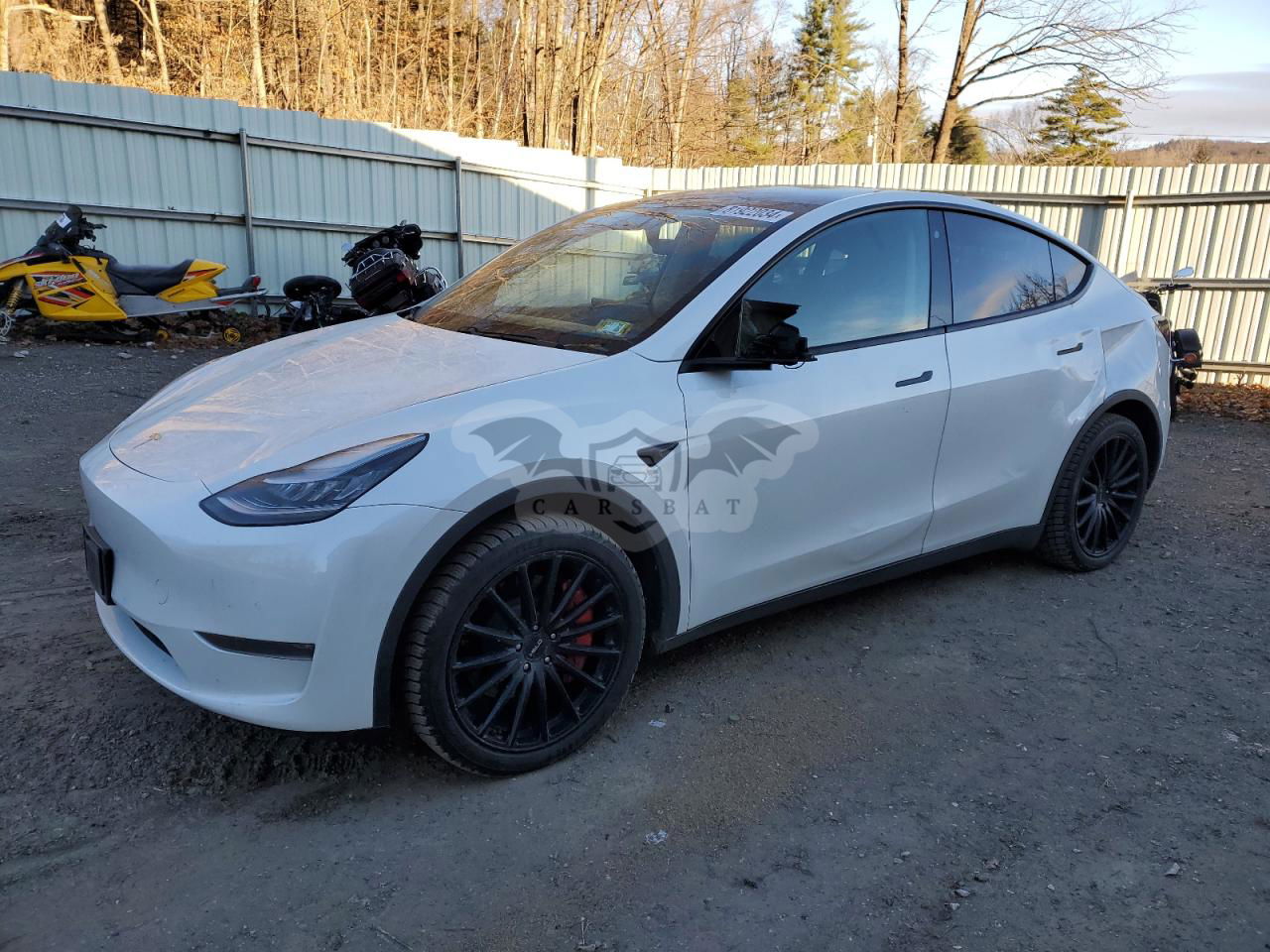 Tesla Model Y 2020