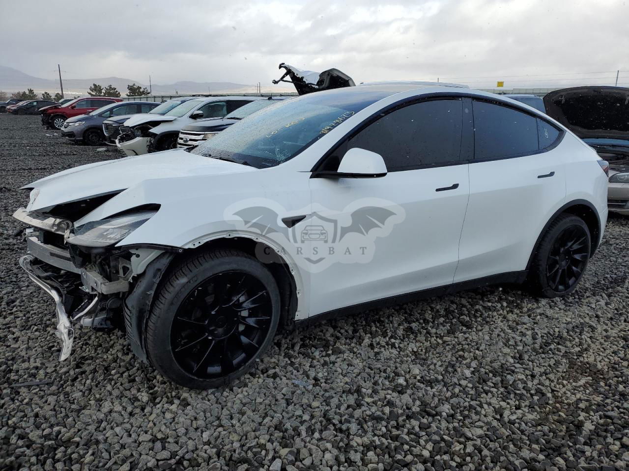 Tesla Model Y 2021