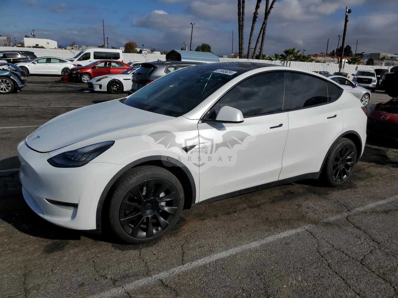 Tesla Model Y 2020