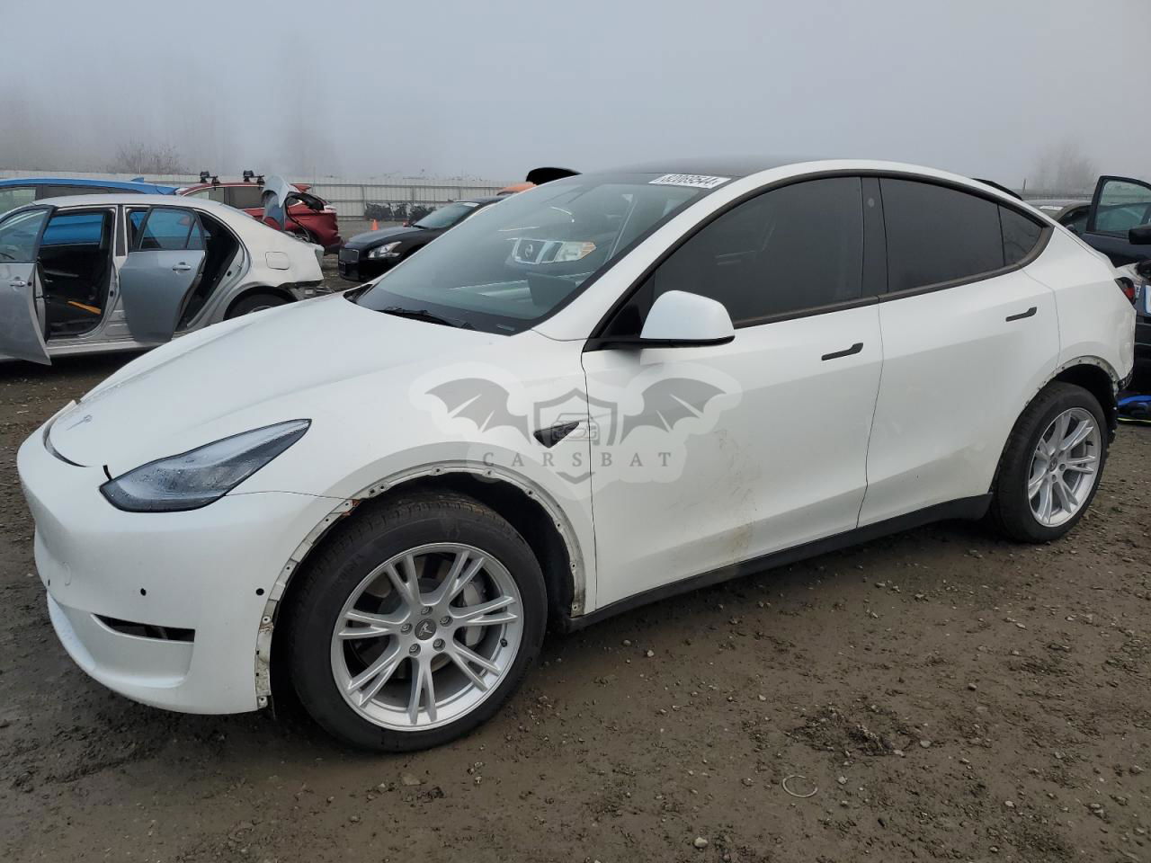 Tesla Model Y 2021
