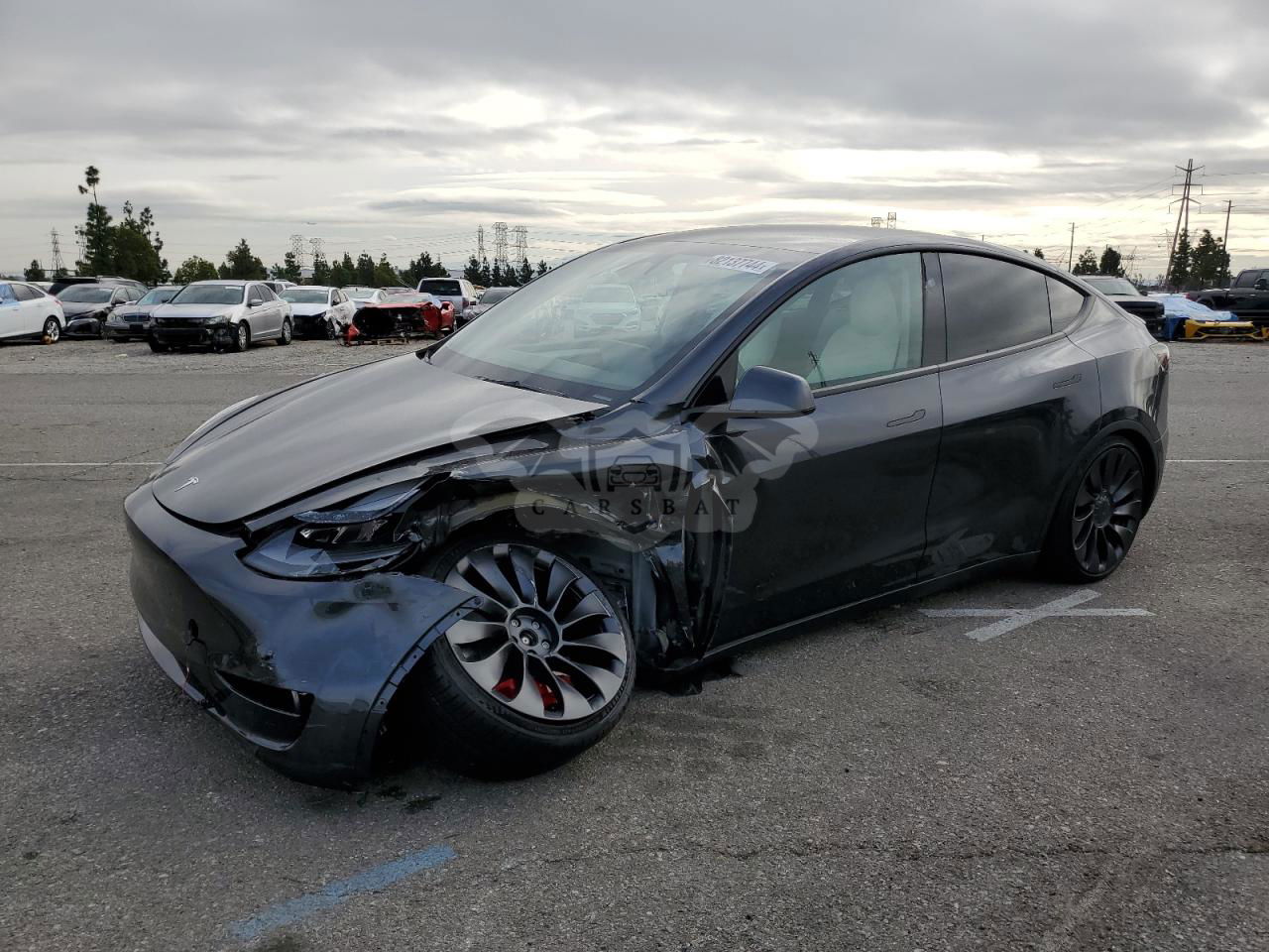 Tesla Model Y 2024
