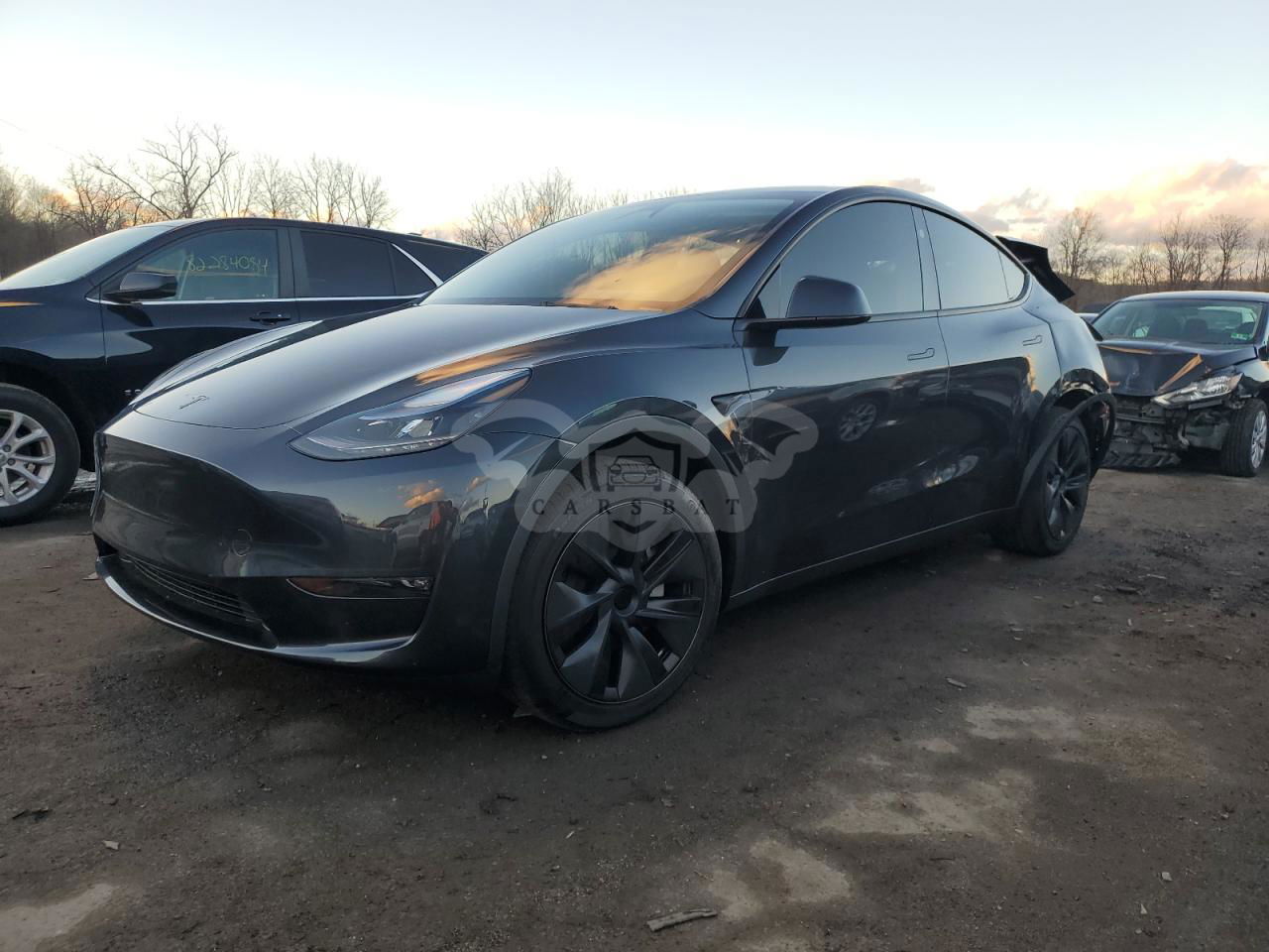 Tesla Model Y 2024