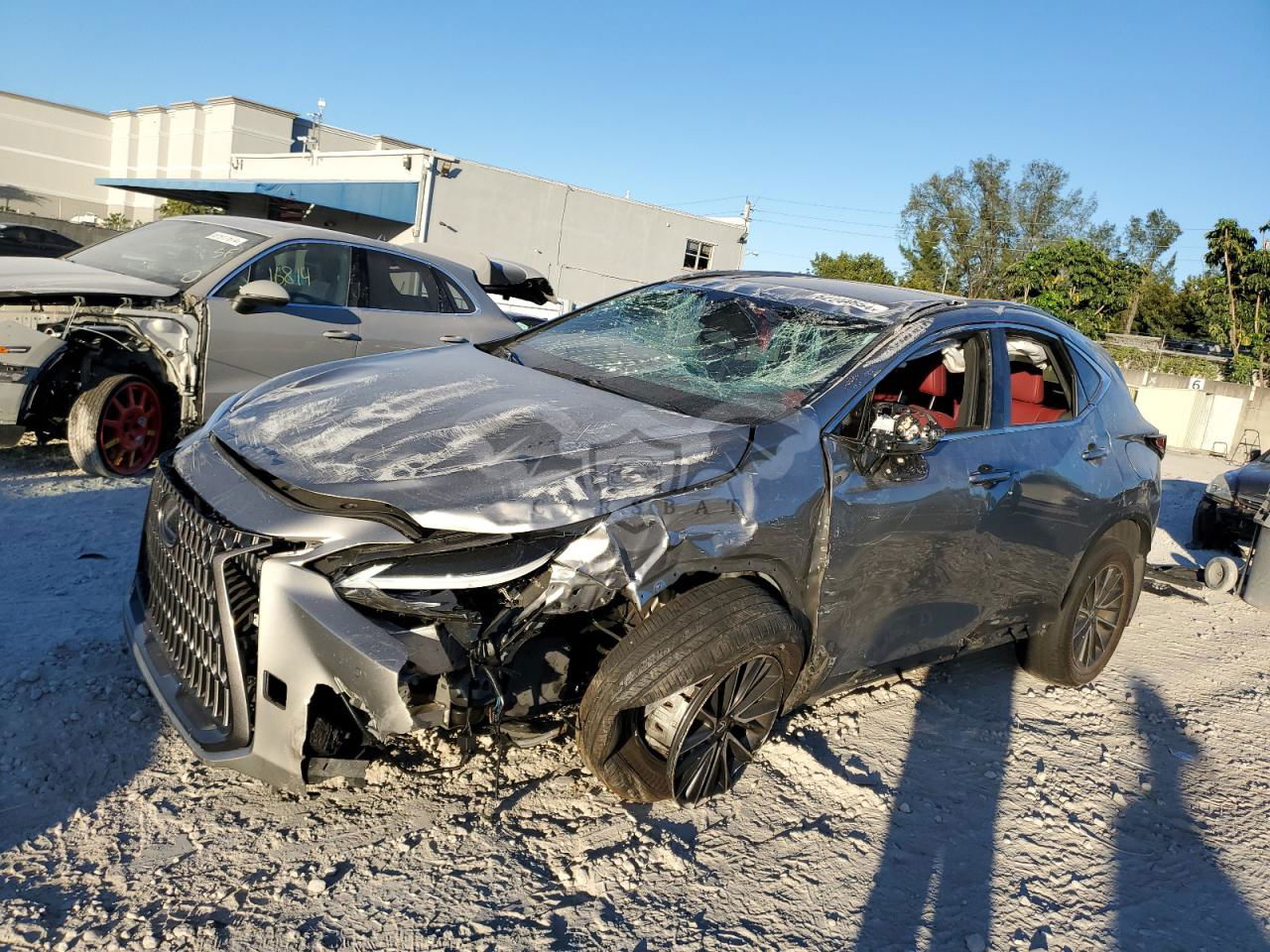 Lexus NX 2.5L  4 2024