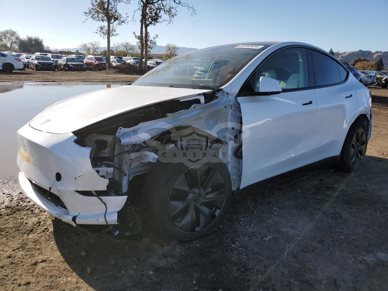 Tesla Model Y 2024
