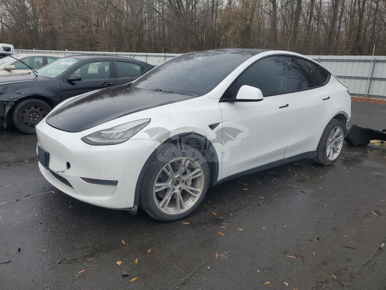 Tesla Model Y 2020