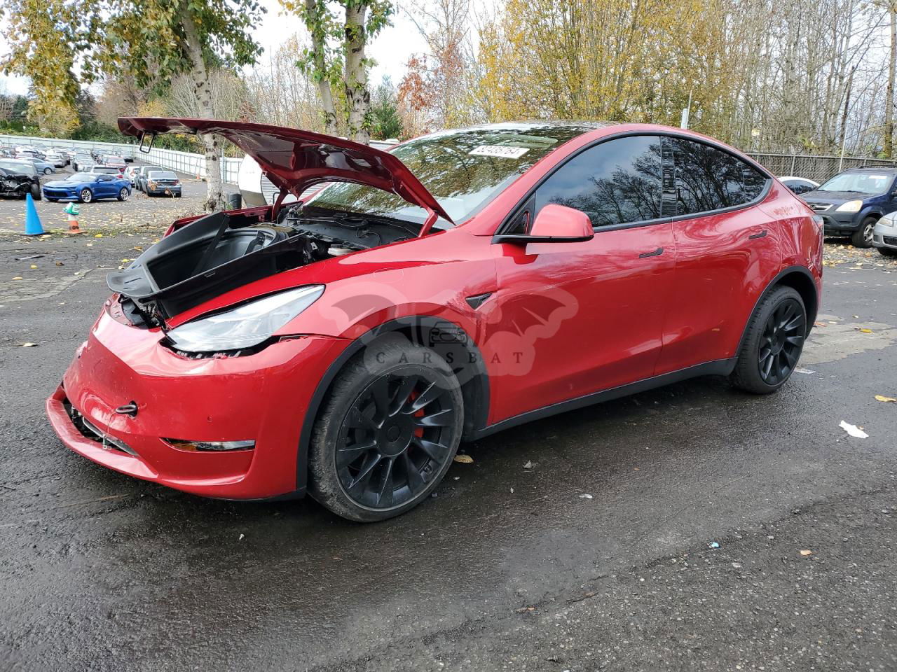 Tesla Model Y 2020