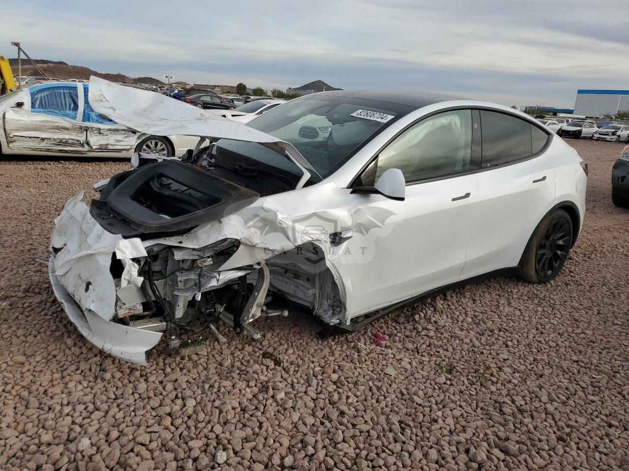Tesla Model Y 2024