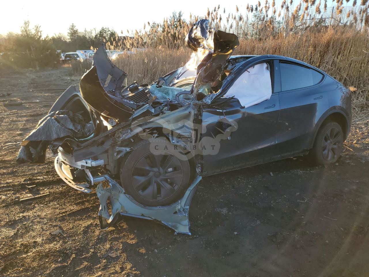 Tesla Model Y 2024