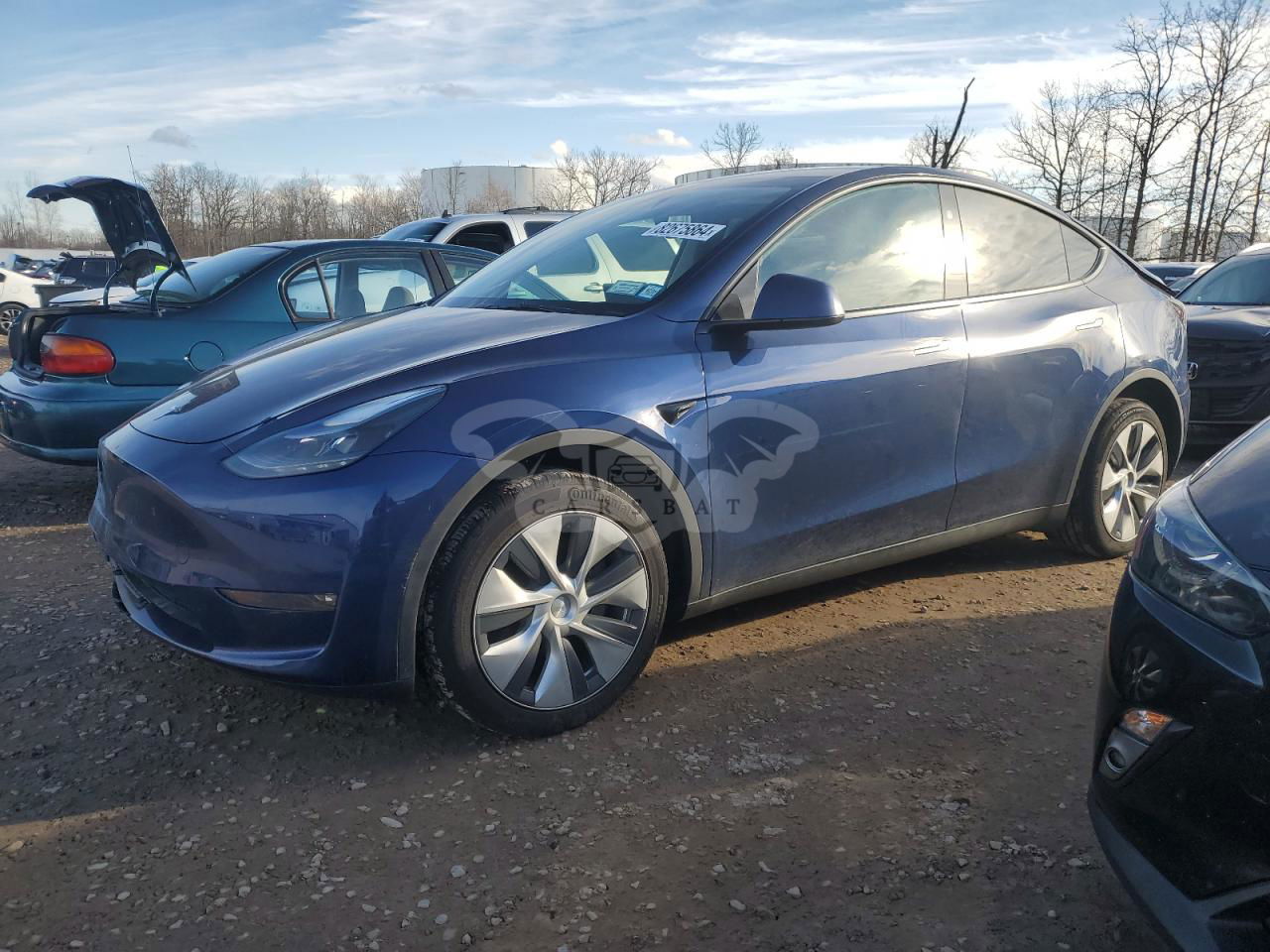 Tesla Model Y 2024