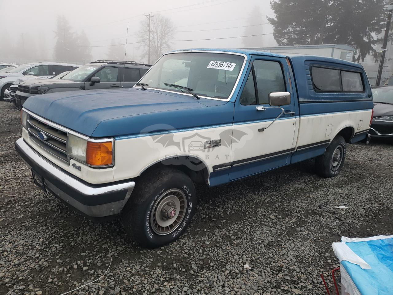 Ford F-150 5.0L  8 1989