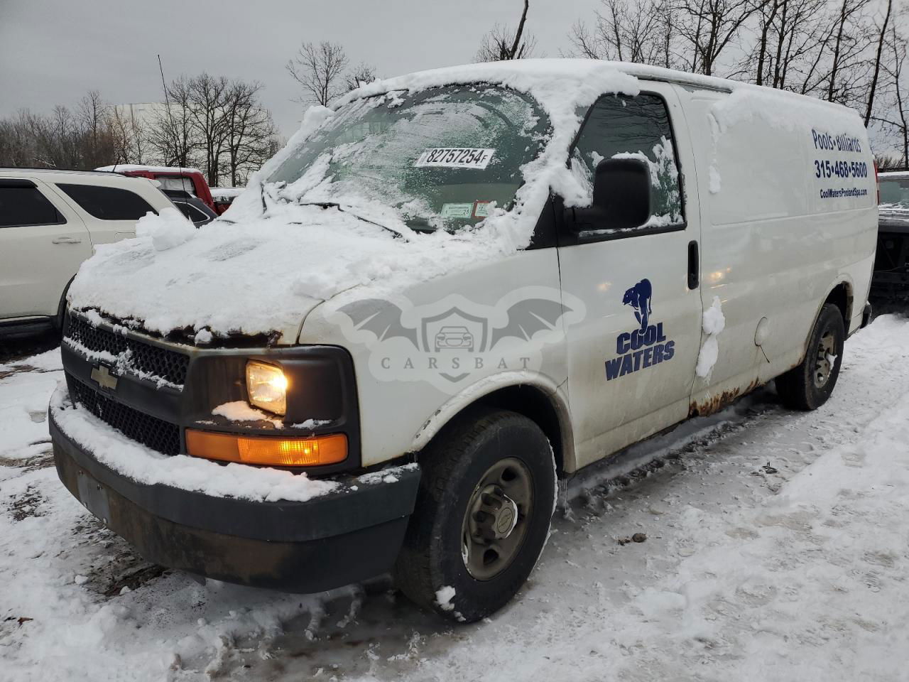 Chevrolet Express 4.8L  8 2009