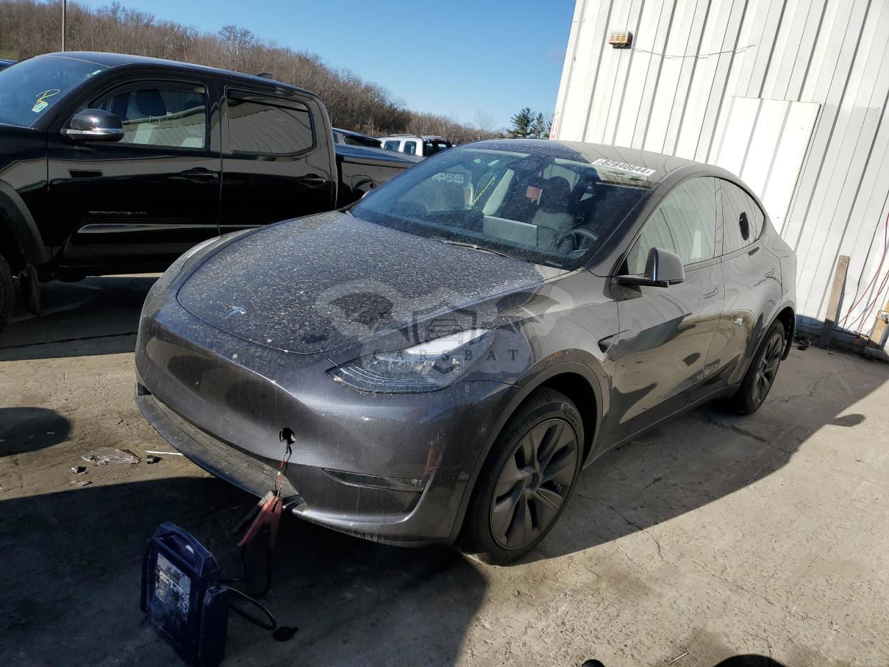 Tesla Model Y 2024