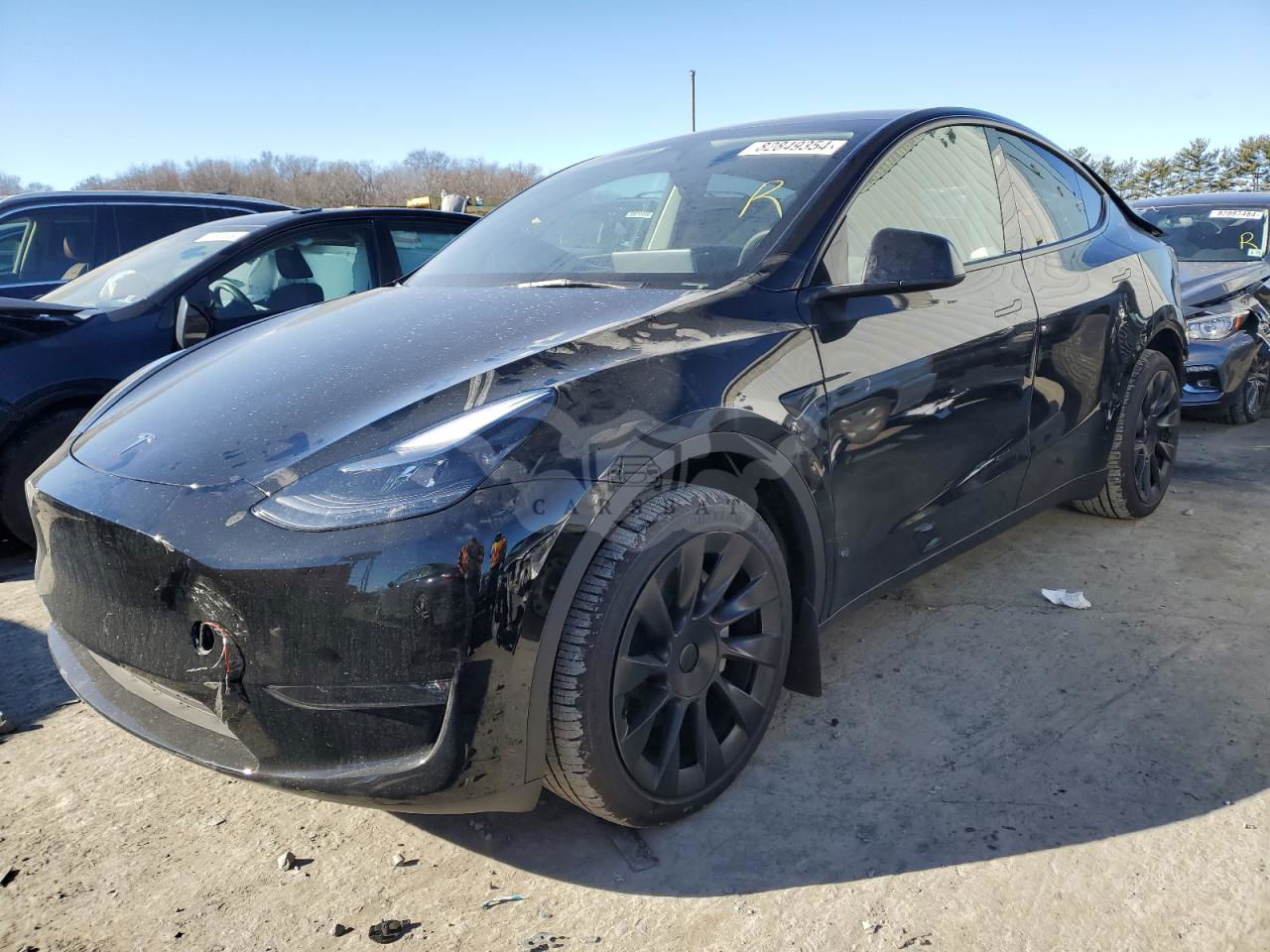 Tesla Model Y 2024