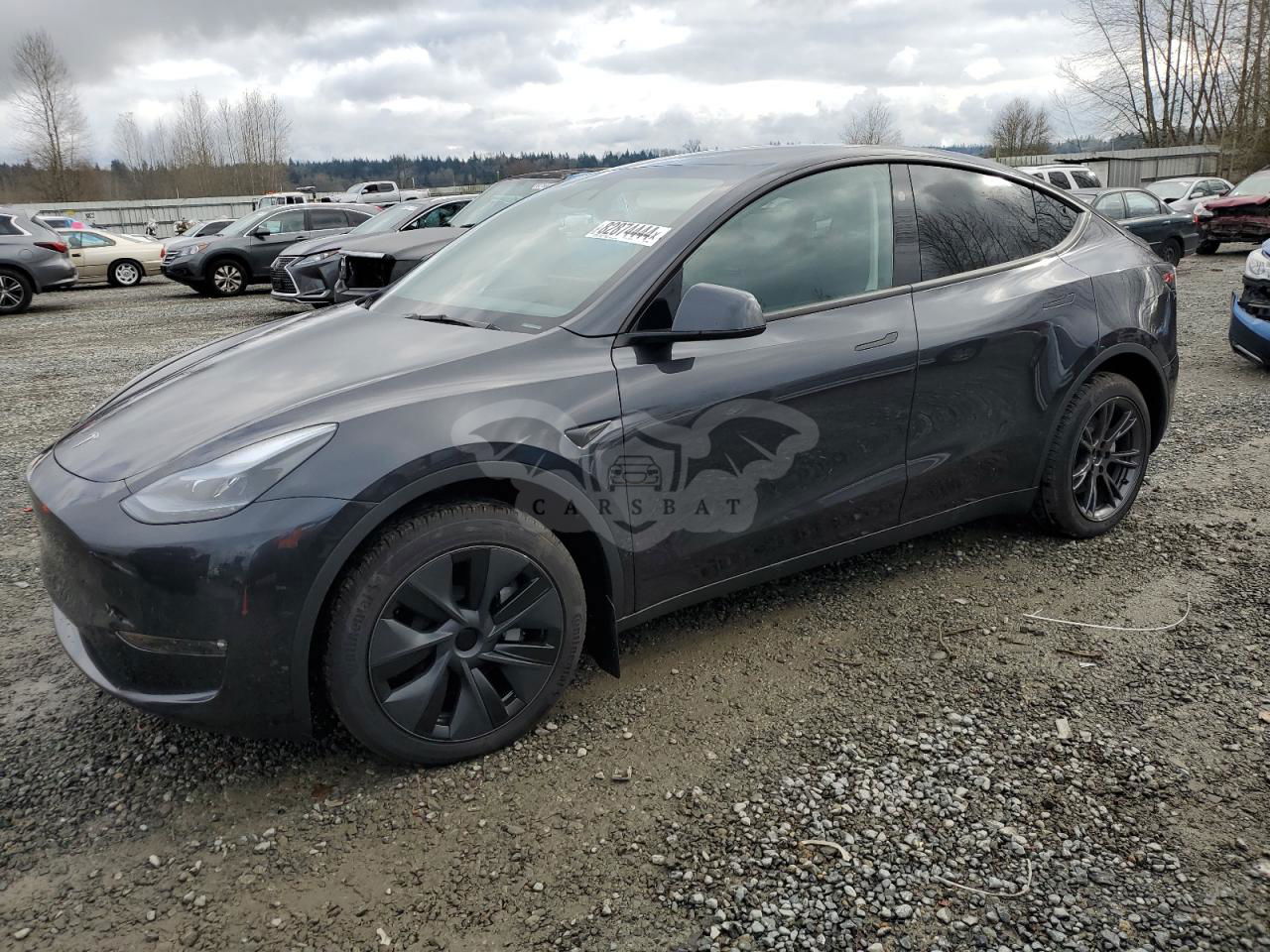 Tesla Model Y 2024