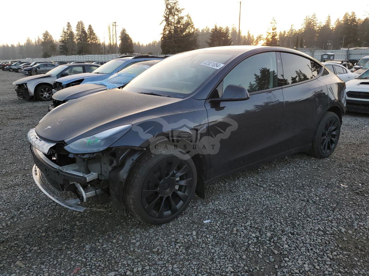 Tesla Model Y 2024