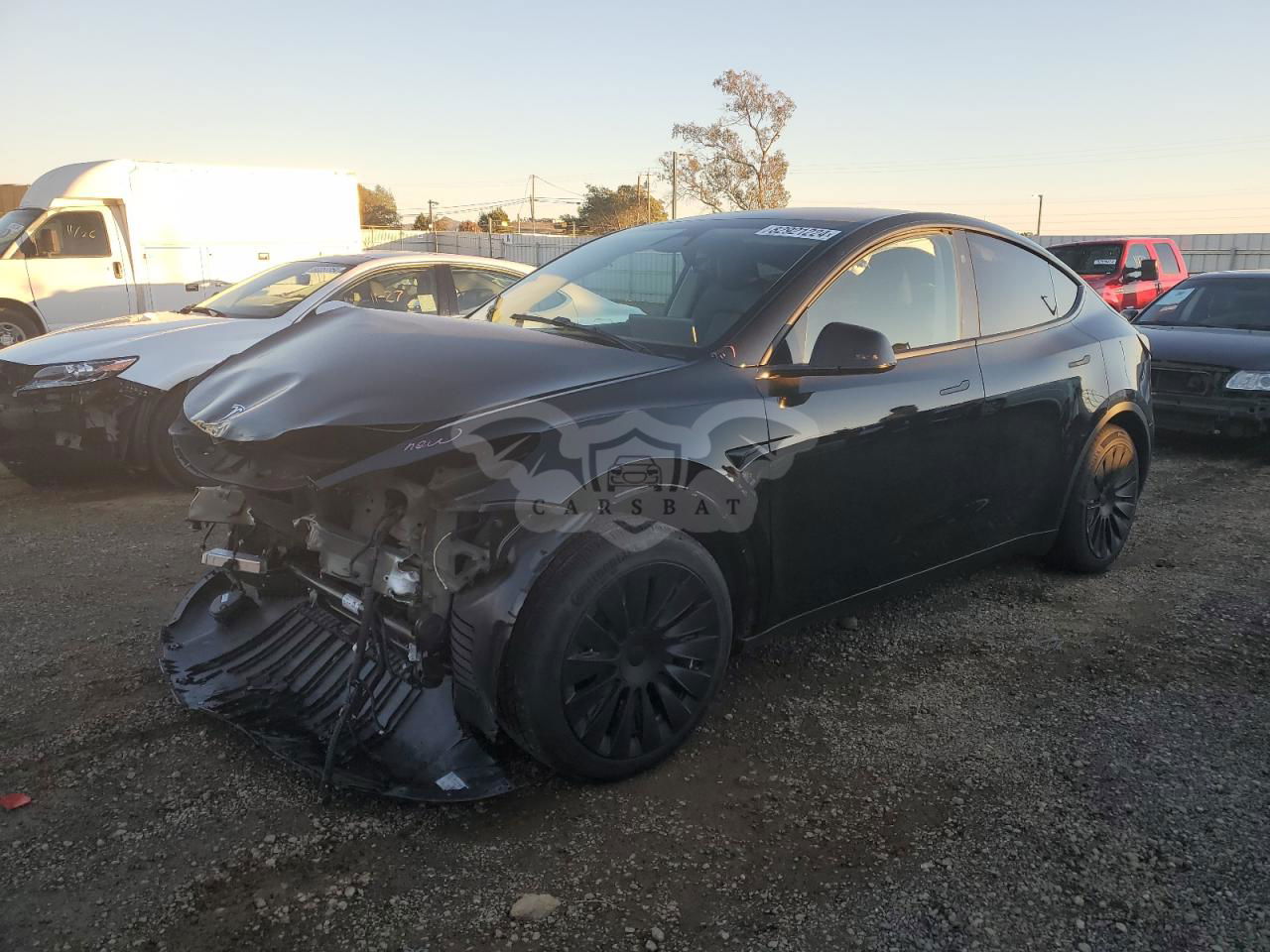 Tesla Model Y 2024