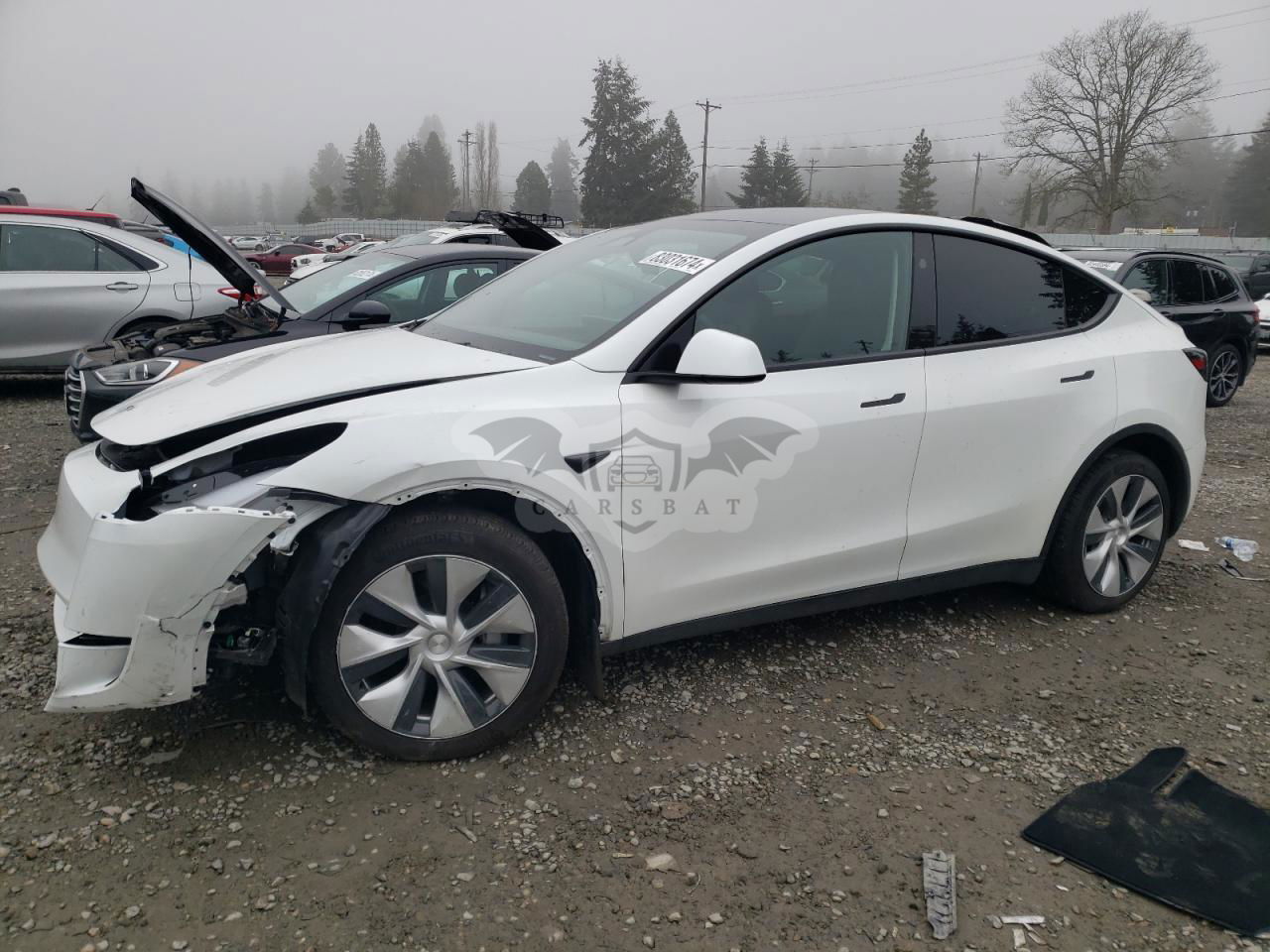 Tesla Model Y 2024